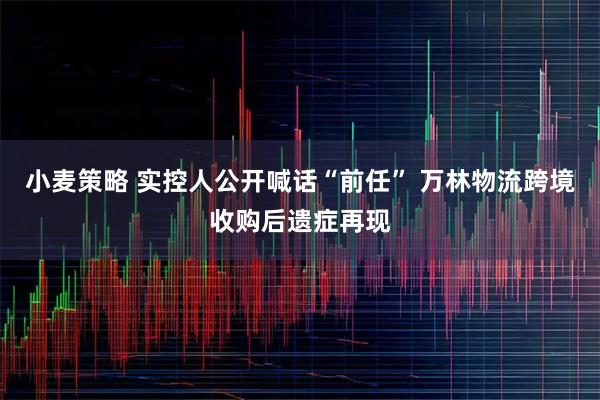 小麦策略 实控人公开喊话“前任” 万林物流跨境收购后遗症再现