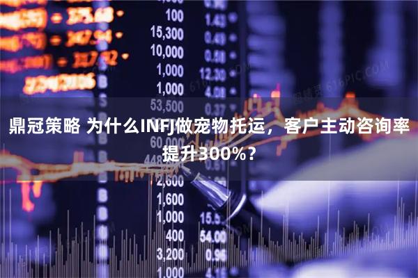 鼎冠策略 为什么INFJ做宠物托运，客户主动咨询率提升300%？