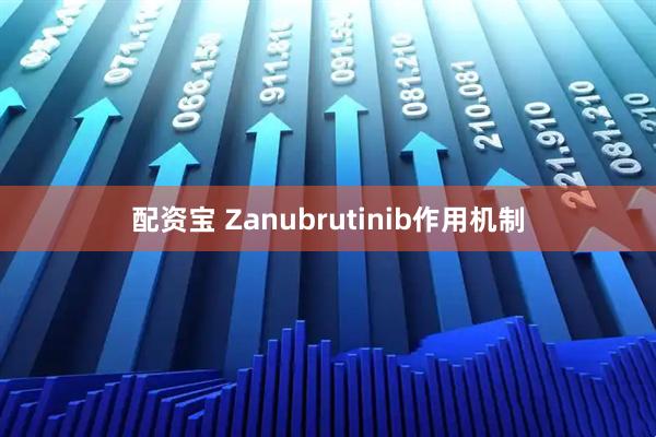 配资宝 Zanubrutinib作用机制